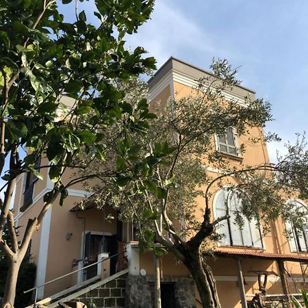 Domus Agricolae Corallina Τόρρε ντελ Γκρέκο Εξωτερικό φωτογραφία