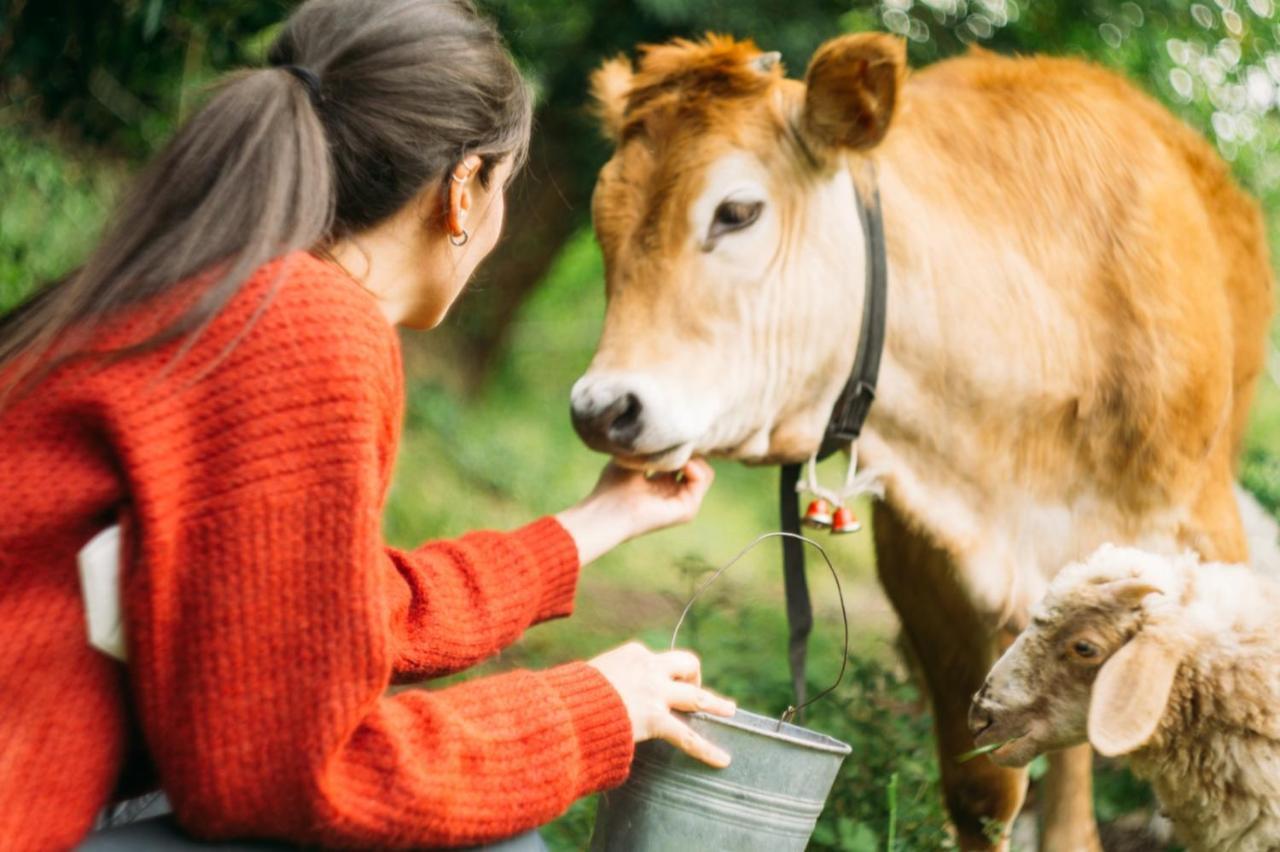 Domus Agricolae Corallina Τόρρε ντελ Γκρέκο Εξωτερικό φωτογραφία