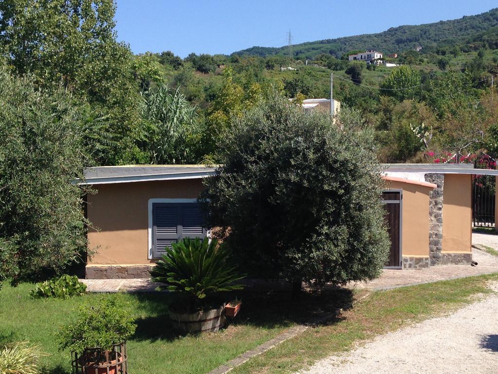 Domus Agricolae Corallina Τόρρε ντελ Γκρέκο Δωμάτιο φωτογραφία