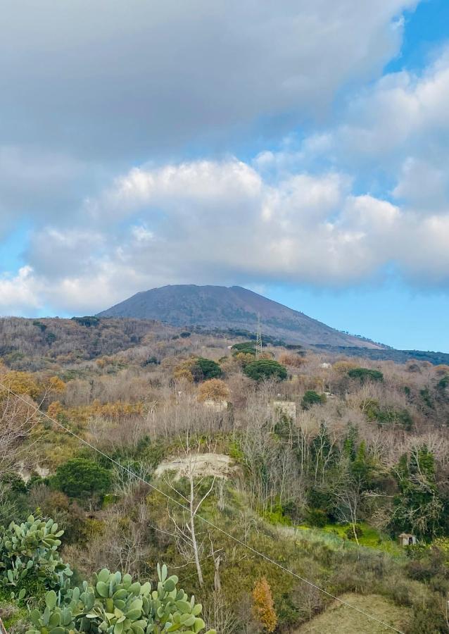 Domus Agricolae Corallina Τόρρε ντελ Γκρέκο Εξωτερικό φωτογραφία