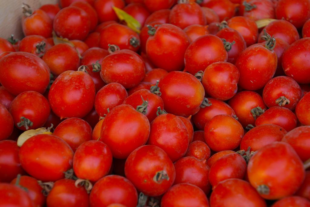 Domus Agricolae Corallina Τόρρε ντελ Γκρέκο Εξωτερικό φωτογραφία