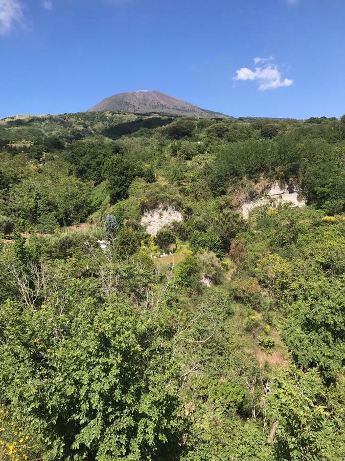 Domus Agricolae Corallina Τόρρε ντελ Γκρέκο Εξωτερικό φωτογραφία