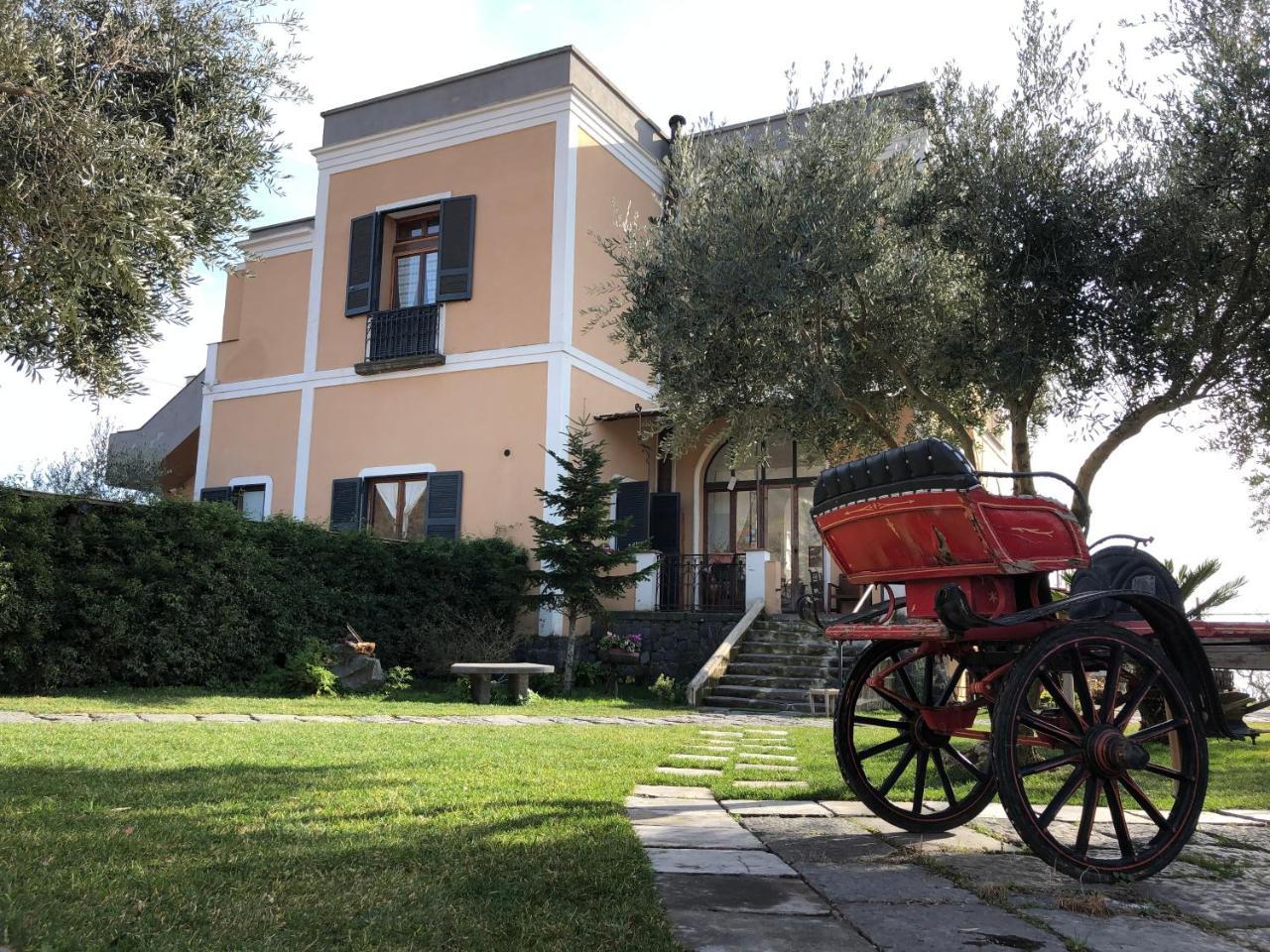 Domus Agricolae Corallina Τόρρε ντελ Γκρέκο Εξωτερικό φωτογραφία