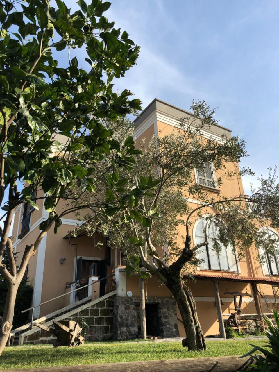 Domus Agricolae Corallina Τόρρε ντελ Γκρέκο Εξωτερικό φωτογραφία