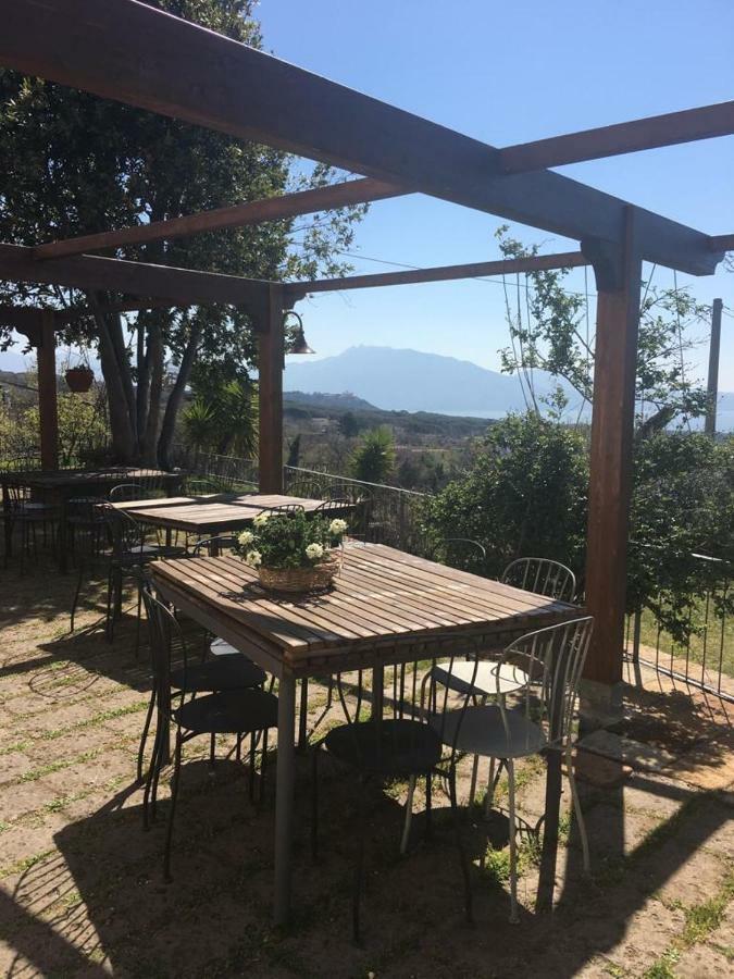 Domus Agricolae Corallina Τόρρε ντελ Γκρέκο Εξωτερικό φωτογραφία