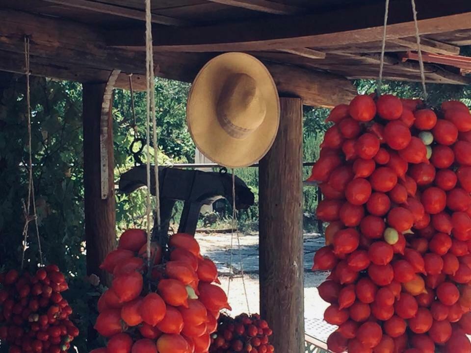 Domus Agricolae Corallina Τόρρε ντελ Γκρέκο Εξωτερικό φωτογραφία